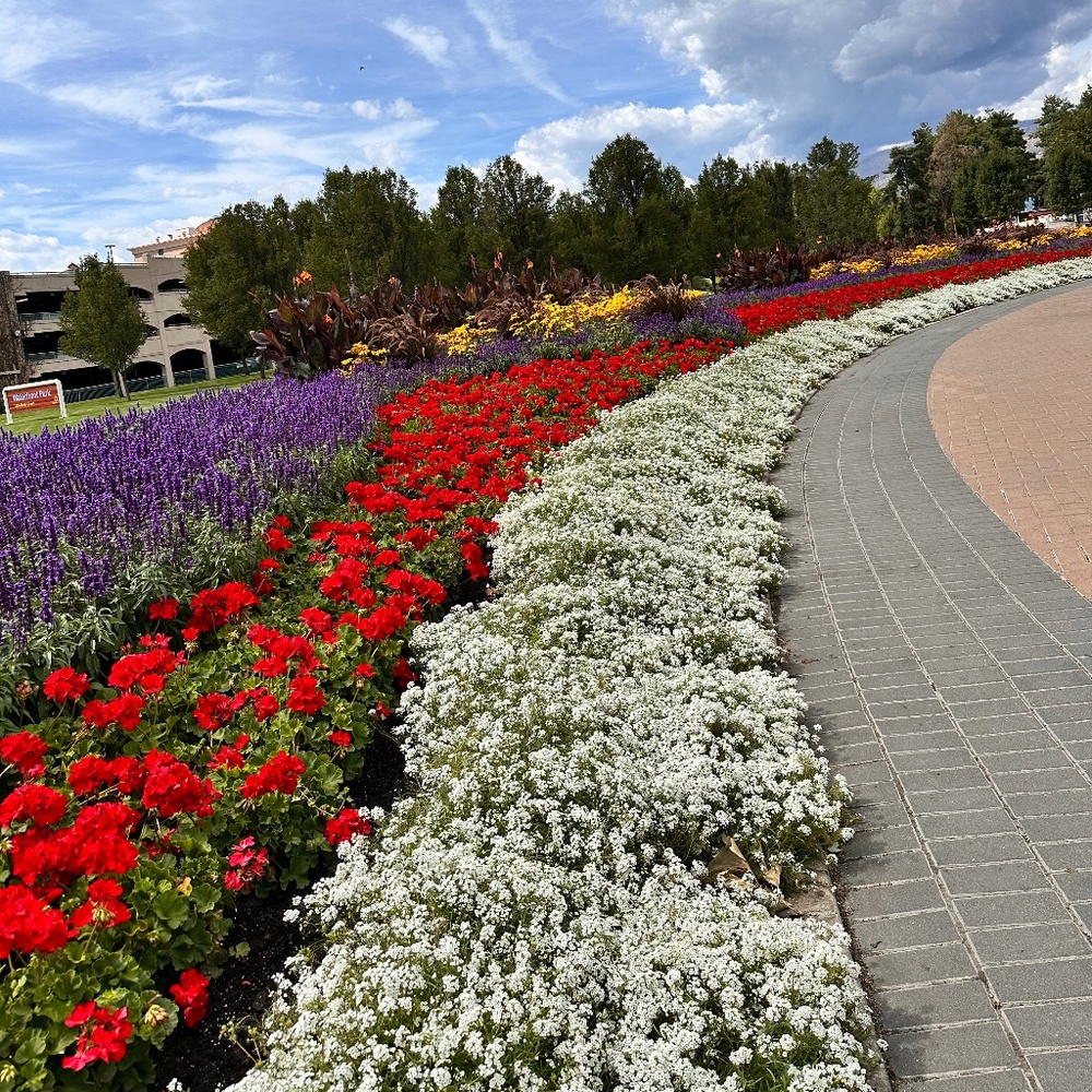 Meet your Posher, Ron